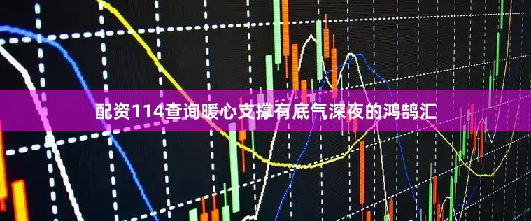 配资114查询暖心支撑有底气深夜的鸿鹄汇