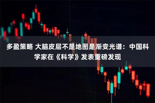 多盈策略 大脑皮层不是地图是渐变光谱：中国科学家在《科学》发表重磅发现